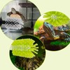 2pcs Turtle Brush with Suction Cup, Tortoise Shell Cleaning Scrub,