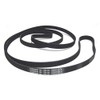 CONTITECH Tumble Dryer Belt No. 1701141