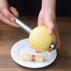 6 Pieces Corer and Pitter Fruit & Vegetable Multi-Function Stainless