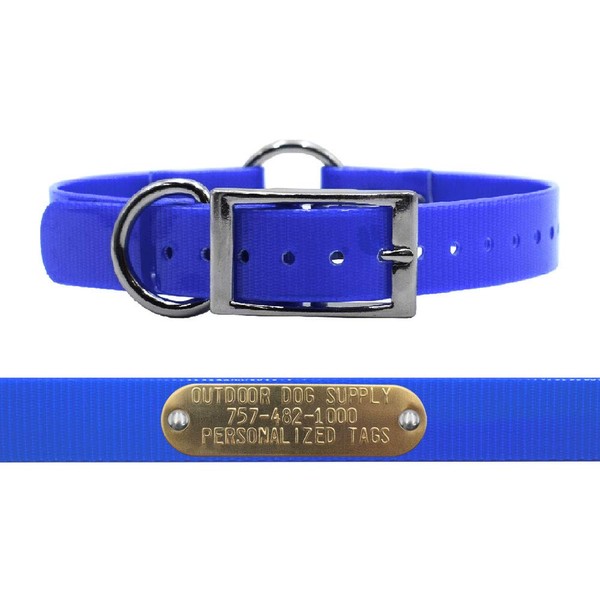 Outdoor Dog Supply's 1" Wide Solid Ring in Center Dog