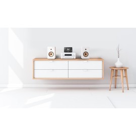 Dual CA 1 - Smart Radio Adapter mit Bluetooth und großem TFT-Display