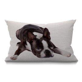 BGBDEIA Cute Funny Various Pet Dogs Human Friends Boston Terrier Cotton Linen Decorative Cushion Cover Throw Pillow Case for Couch Sofa Bed,30 x 50 cm 12 X 20 Inches