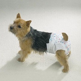 CleanGo Pet Dog Diaper Bulk Packs Disposable Doggie Diapers Helps Protect from Soiling !(Mini 30 Pack)