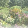 LKSSZS 12 Pack Garden Plant Support Stakes, Half Round Peony