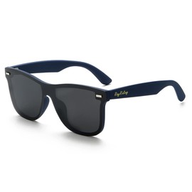 Rayruling Polarised Sunglasses Men Women Ultralight Frame Classic Vintage Style UV400 HD Lens, 【A2】Blue