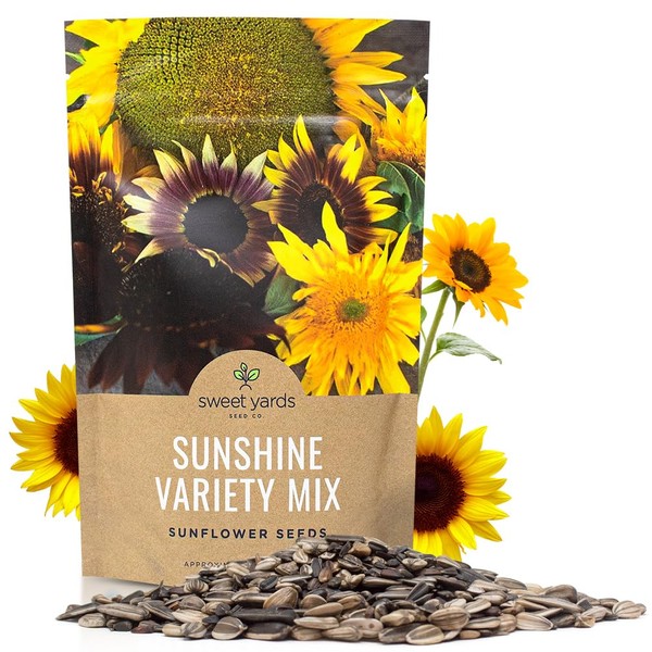 Sunflower Variety Mix 10 tipos de hermosas girasoles – semillas de girasol polinizadas abiertas de 1,27 kg, Bulk 1/4 Pound Bag