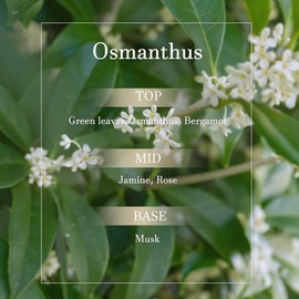 Scented Candle, Big Soy Wax Candles Deer Figurine,12.3oz/350g,50H Long Lasting Aromatherapy Candle for Home Fragrance, Unique Birthday Friendship House Warming Gifts for Women Men (Autumn Osmanthus)