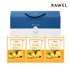 Roel Well-Up Pineapple Enzyme 3-Pack Gift Set / 웰업 파인애플효소 3개입 선물세트