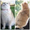 Spiked Cat Collar with Bells, Breakaway Genuine Leather Protective Collar