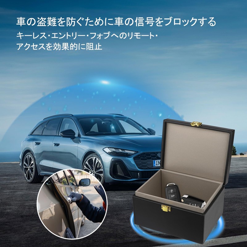 Diyife Relay Attack Prevention Key Case, 8-12 Car Key Capacity,