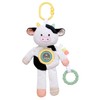 Plush 10 inch Plush Activity Toy with Teethers, Crinkle, Spinner