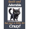 Generic Black Cat funny flexible fridge magnet gift