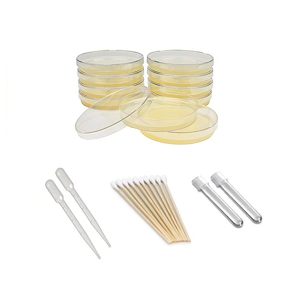 EZ BioResearch Bacteria Science Kit (I) : Pre-poured LB Agar Plates and Cotton Swabs, E-Book for Science Fair Project with Award Winning Experiments