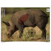 Birchwood Casey Pregame 16.5" x 24" Boar Targets - Realistic