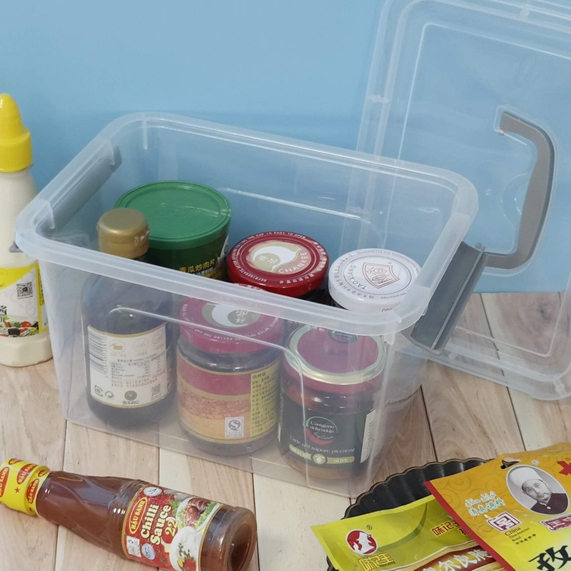 Leendines 5 Quart Storage Box with Lid, 6 Packs Small