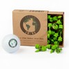 Green Swing Bamboo Golf Tees 25mm | Strong Sustainable Biodegradable