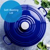 BK Bourgogne Enameled Cast Iron Induction 7QT Nonstick Dutch Oven,
