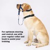 Barkless Dog Head Collar, No Pull Head Halter for Dogs,
