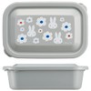 Skater LFP6-A Lightweight Lunch Case with Soft Lid, 20.8 fl