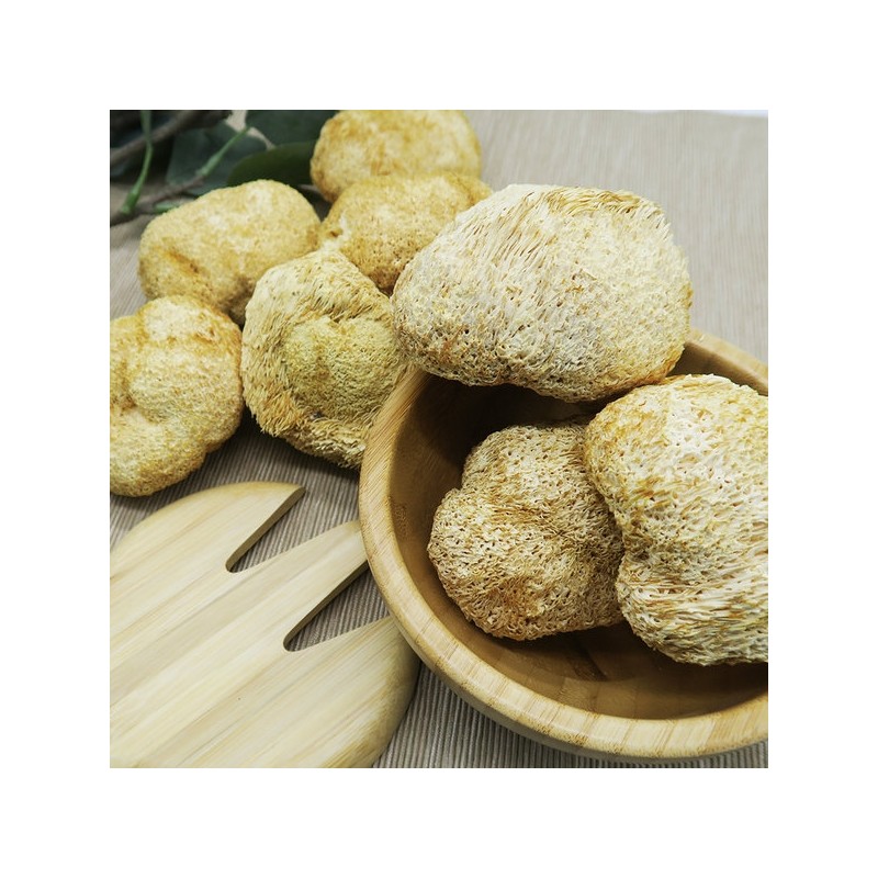 200g dried Helicopteric mane mushrooms, Helicopteric mane mushroom tea /