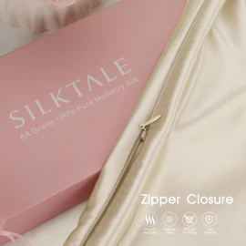 SILKTALE 100% Mulberry Silk Toddler/Travel Pillowcase,Both Sides 19MM Small Silk Pillow Case with Hidden Zipper for Kids/Baby 1pc,Beige,13"x18"