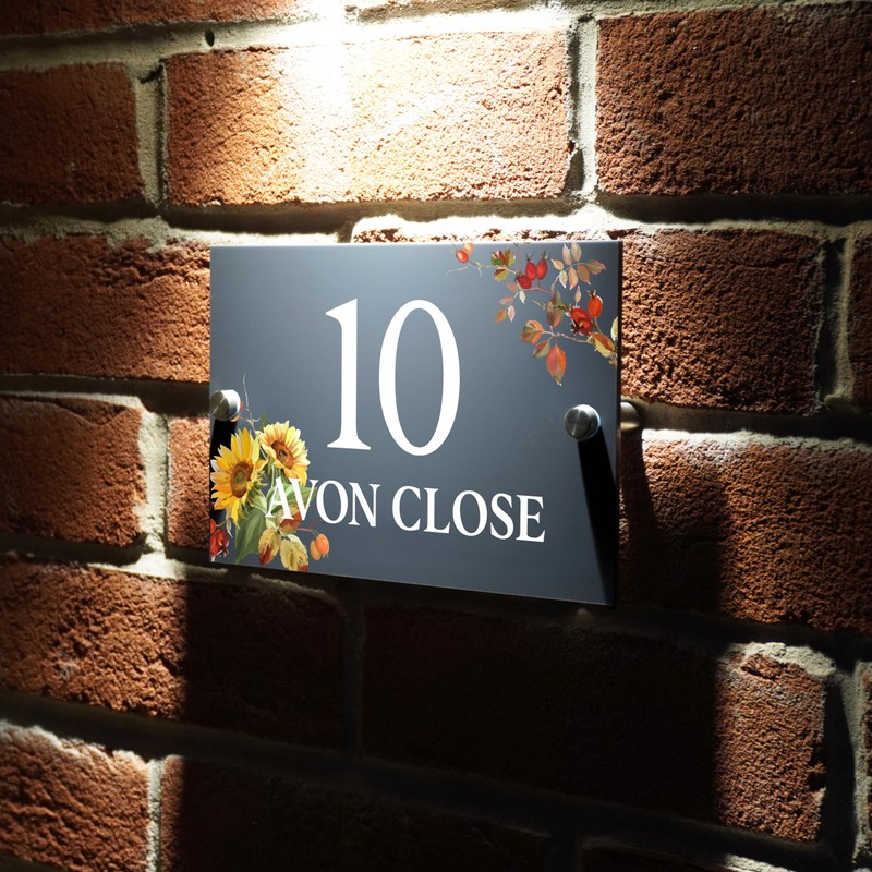 Badgemaster Modern Anthracite House Number Sign Plaque Stainless Steel Standoffs