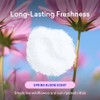 BLUELAND Oxi Laundry Booster Powder Refill 2-Pack, Spring Bloom Scent,