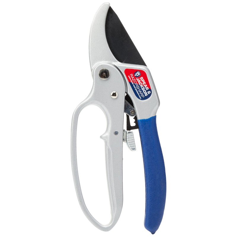 Spear & Jackson CUTTINGSET1 Ratchet Anvil Secateurs and Blade Sharpener