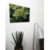 The Plum Penguin Abstract Lemon Balm Leaves Wall Art, 2-Piece
