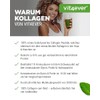 vit4ever Collagen Powder 500 g - 100% Bioactive Collagen Hydrolysate