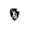 Sticker # sPzAbt 507 Schwere Panzer Abteilung German Tiger Tank