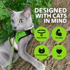 Kitty Holster - Reflective Cat Harness, High-Visibility Harness for Cats