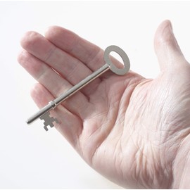 FB1 Key Genuine Original Fire Brigade Mortice Lock Keys Pack of 1 (1)