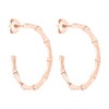 Tamaris Hoop earrings TJ-0300, Stainless Steel, none