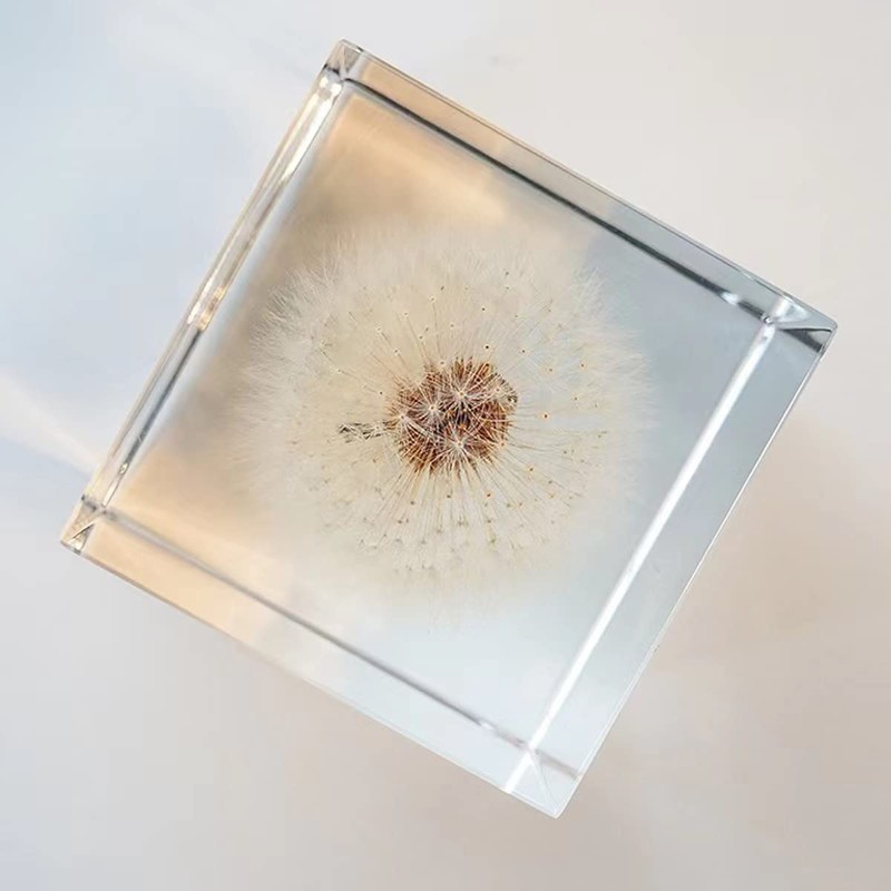 DESHINTKE Cube Dandelion Specimen Paperweight with Wood Box, 2 inch
