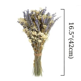 Dried Lavender & Baby's Breath Flowers Bundles, 2 Bunches Dried Flower Bouquet for Vase, Natural Gypsophila for Home, Wedding, Photography, Floral Arrangement, DIY