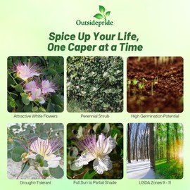 Outsidepride Caper Bush Seeds - 100 Pcs. Perennial, Low Maintenance, Herb Seeds for Planting Edible Fleshy Leaves & Large Pinkish-White Blooms for Culinary Use & Pollinator Gardens