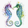 Guardians of The Sea - Seahorse Vinyl Decal Bumper Sticker
