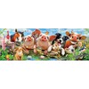 Ceaco Panoramic Collection Barnyard Antics Puzzle (700 Piece)