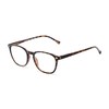 Retro Square Reading Glasses in Glossy Tortoise by Readers.com |