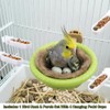 2-in-1 Bird Nest & Perch Set with 4 Hanging Food