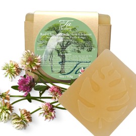 Ta Healing Red Clover Gentle Skin Cleanser