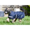 Rhinegold Waterproof Dog Coat Navy Blue 40cm