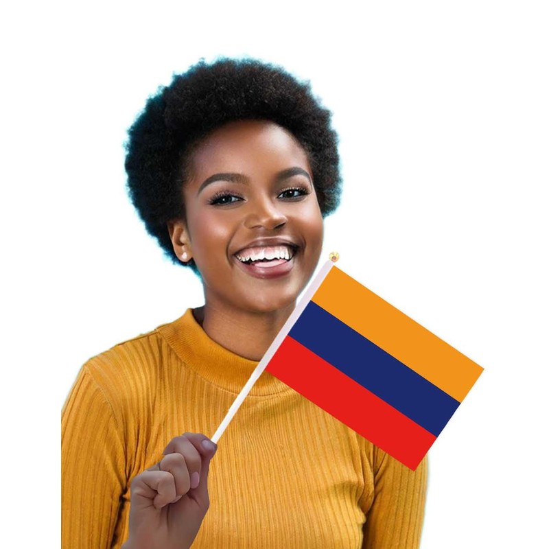 25 Packs Small Armenia Flags on Handheld Stick，Miniature Armenian Flag