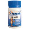 Schuessler Buy Martin and Pleasance Schuessler Tissue Salts Kidz Minerals Be Calm 100 Tablets Online