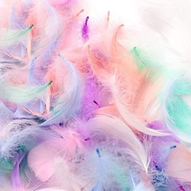Samcos Feather Shower Colorful Natural Dyed Feathers DIY Decoration Props Wedding Birthday Event Party Craft Supplies (Macaron Color 200pcs)