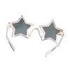 Silver Star Elton John Sunglasses Glasses Fancy Dress Accessory