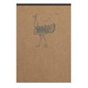 Clairefontaine Flying Spirit 103646C Pack of 5 Pads, Glued at