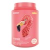 Birdman Kit Protein Fitmingo 1.02kgcreatina Watermelon 300g
