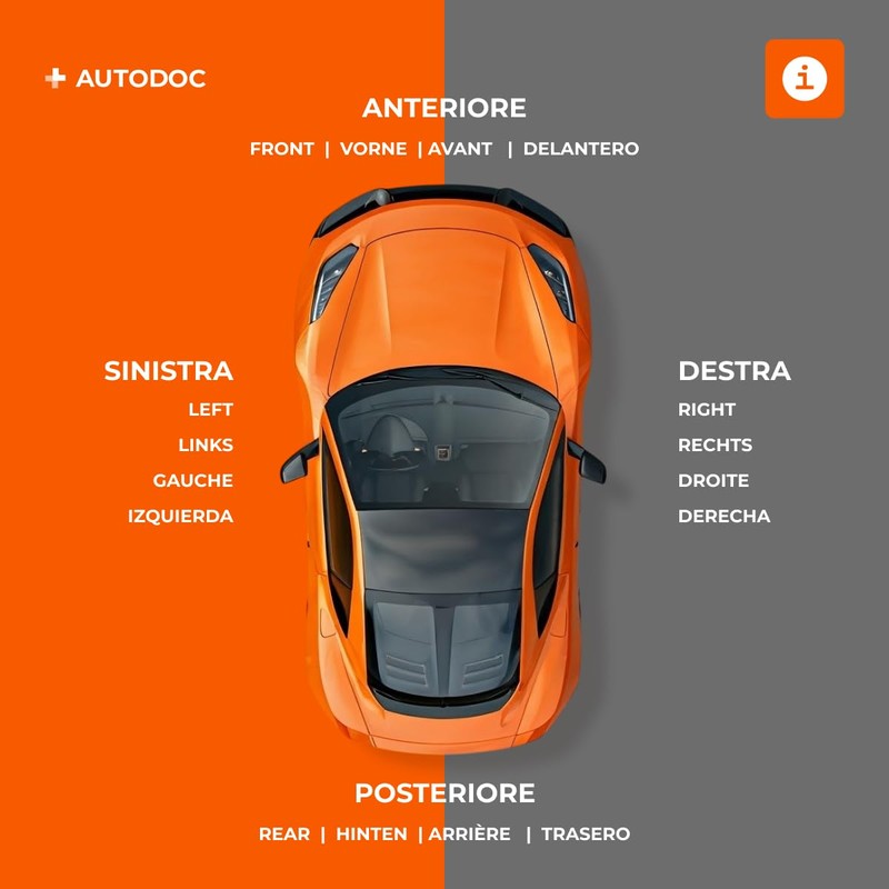 RIDEX 1427J0012 Hardy Front Screen